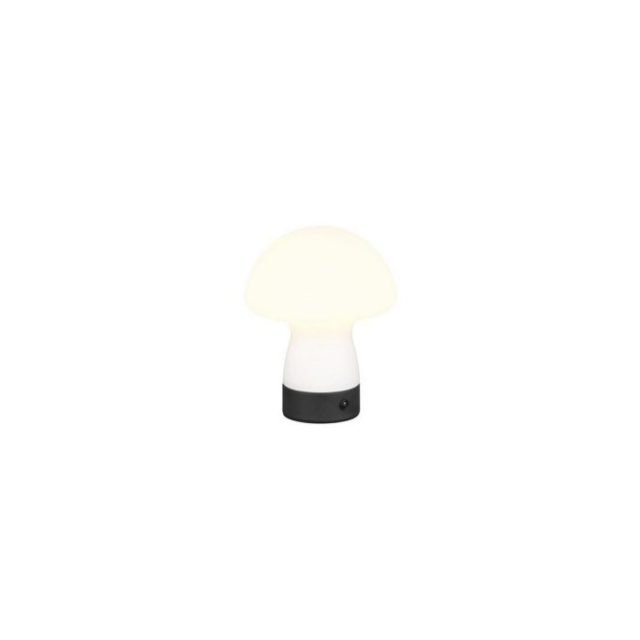 Bordslampa TRIO Dooley Mattvit