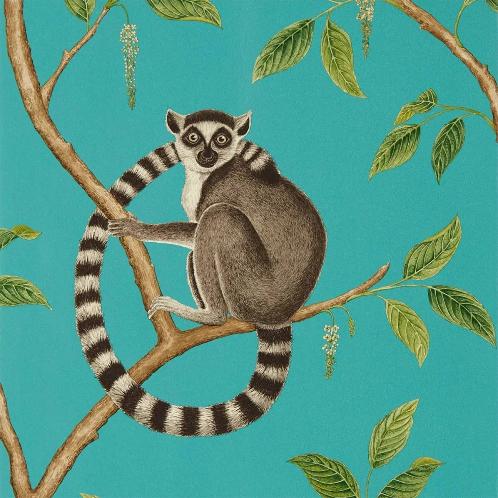 Glasshouse Ringtailed Lemur Dglw216663 Tapet | Stuvbutiken