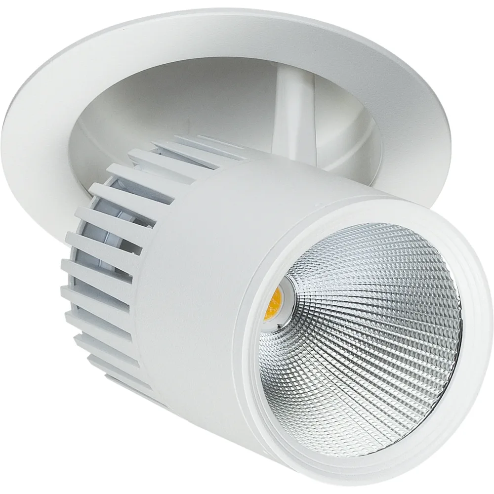 Easyform Pride Downlight ställbar, 330°/ 90° 44W