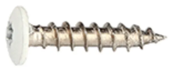 Fastex 125400199006 Bleckskruv 1000-pack, Stainlex, 4,0 x 19 mm Silver