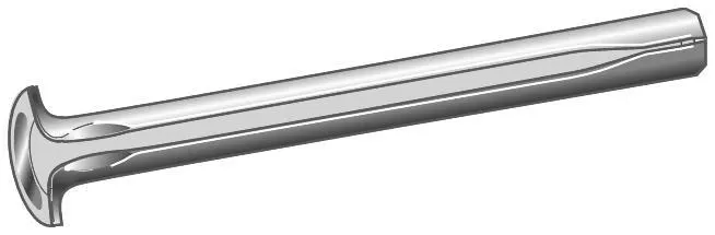 ESSVE FZB Expanderspik 100-pack 6/0/30mm