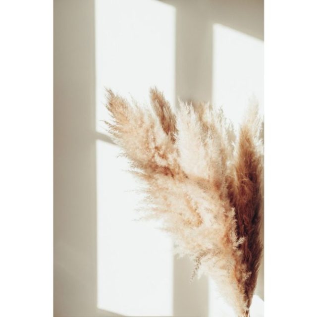 Poster Pampas 70x100 cm