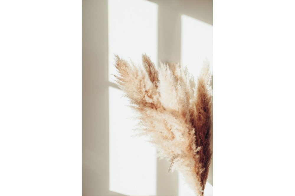 Poster Pampas 70x100 cm