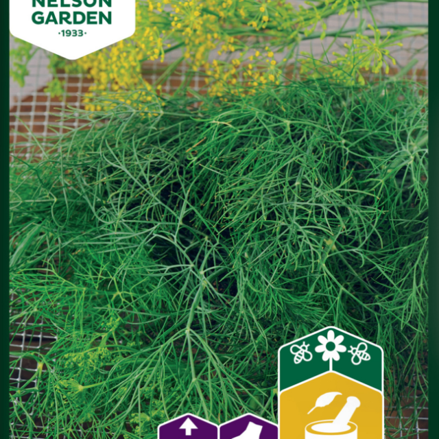 FRÖPÅSE NELSON GARDEN DILL VANLIG COMO, PGB