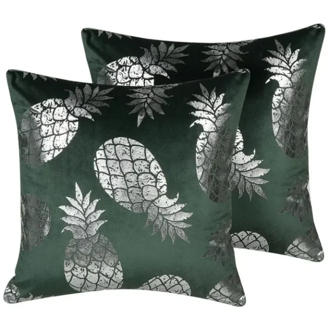 Prydnadskuddar Astilbe set om 2