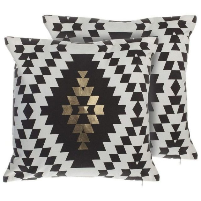 Prydnadskuddar Coleus set om 2