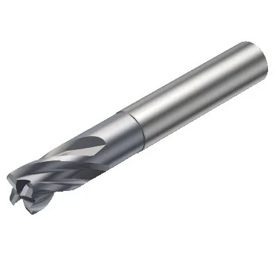 FRÄS R216.24-10030DAI10G1610