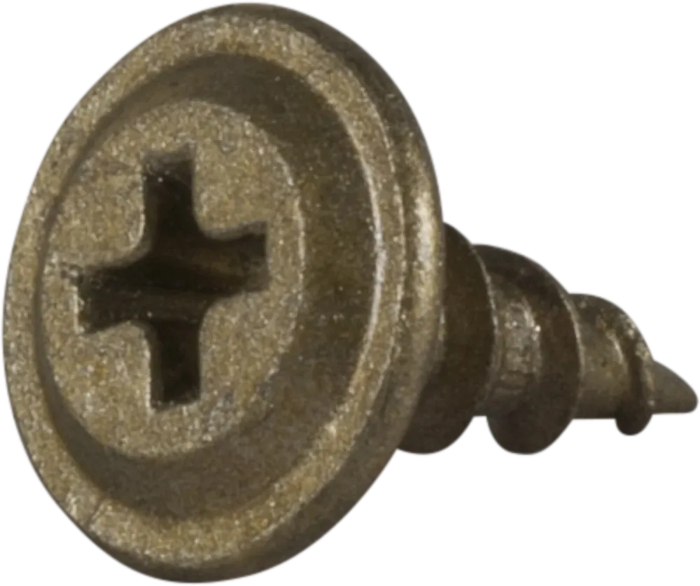 ESSVE 579525 Montageskruv 4,5 mm Ø, CorrSeal, PH2, vass spets 25 mm, 250-pack