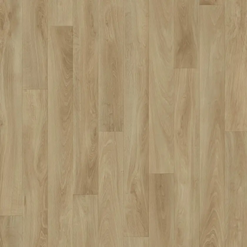 French Oak, Medium 3m bred | Iconik T-Extra