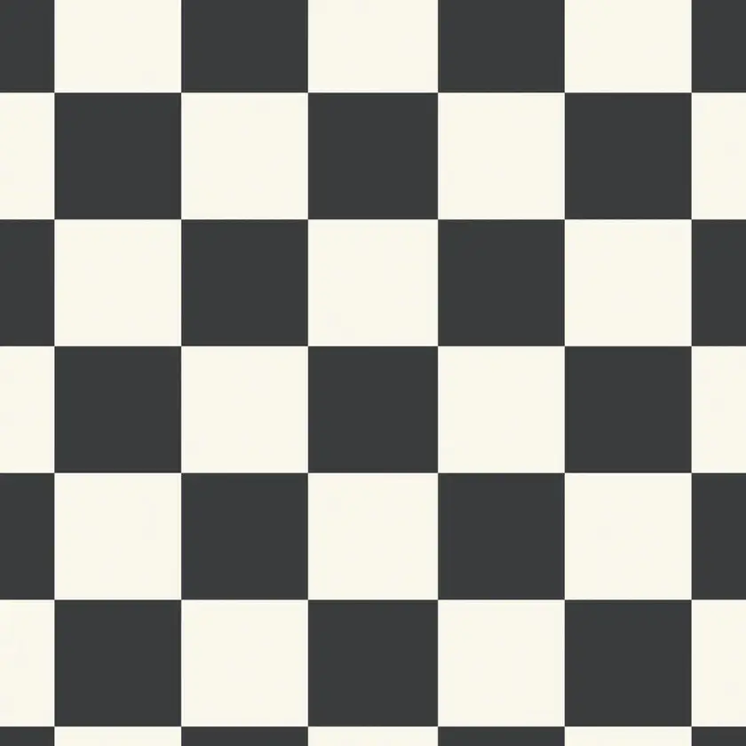 Albi, Black and White 2m bred | Iconik T-Extra
