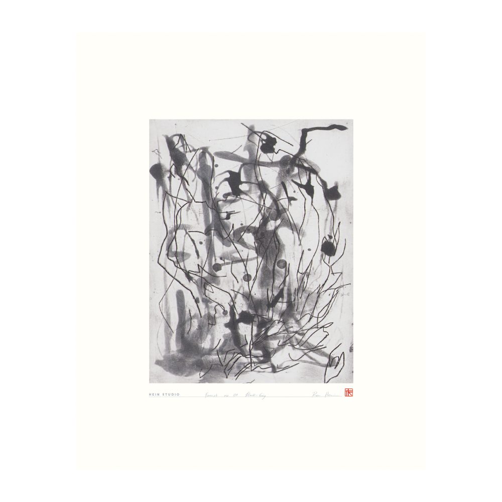 Forrest poster 40x50 cm, No. 01